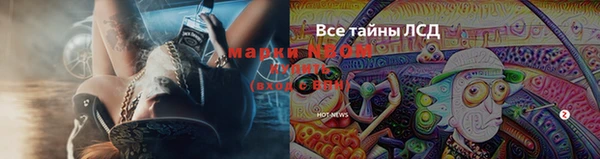 apvp Аркадак