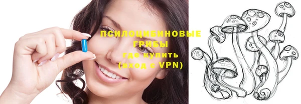 apvp Аркадак