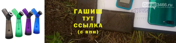 стафф Арсеньев