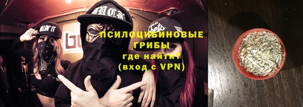 apvp Аркадак